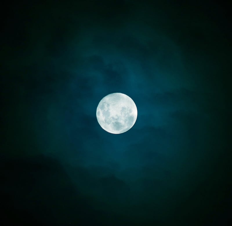 Moonlit Serenade